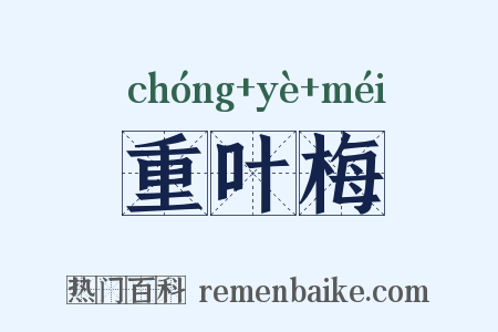 重叶梅是什么意思的图片